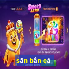 san ban ca