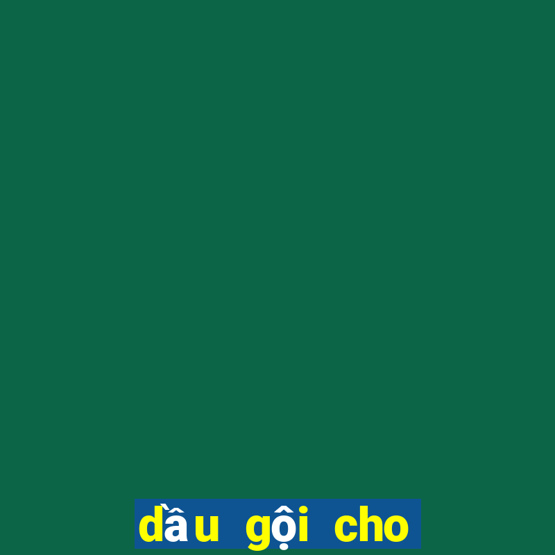 dầu gội cho tóc bết