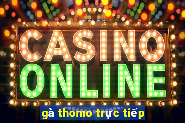 gà thomo trực tiếp