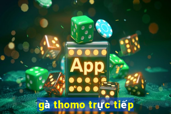 gà thomo trực tiếp