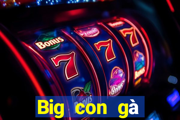 Big con gà trống tải về