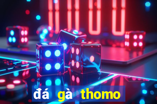 đá gà thomo trận 34 hôm nay