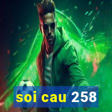 soi cau 258