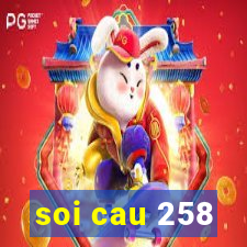 soi cau 258