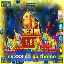 sv388 da ga thomo