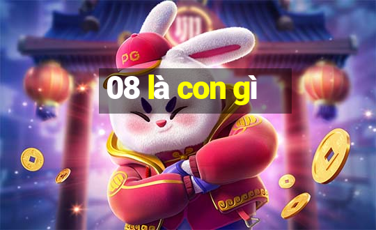 08 là con gì