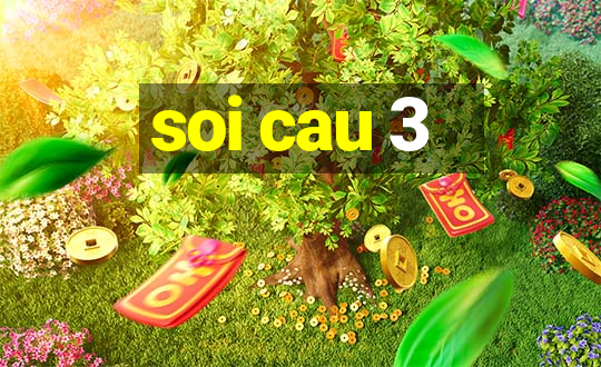 soi cau 3