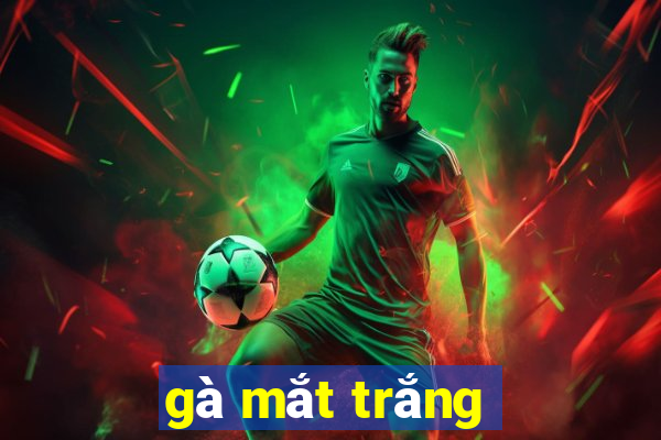 gà mắt trắng