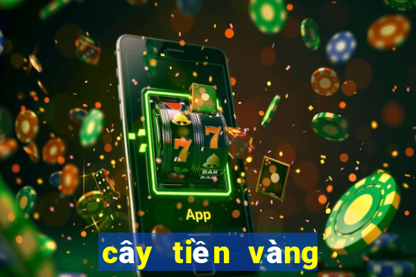 cây tiền vàng bắn cá