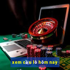 xem cầu lô hôm nay