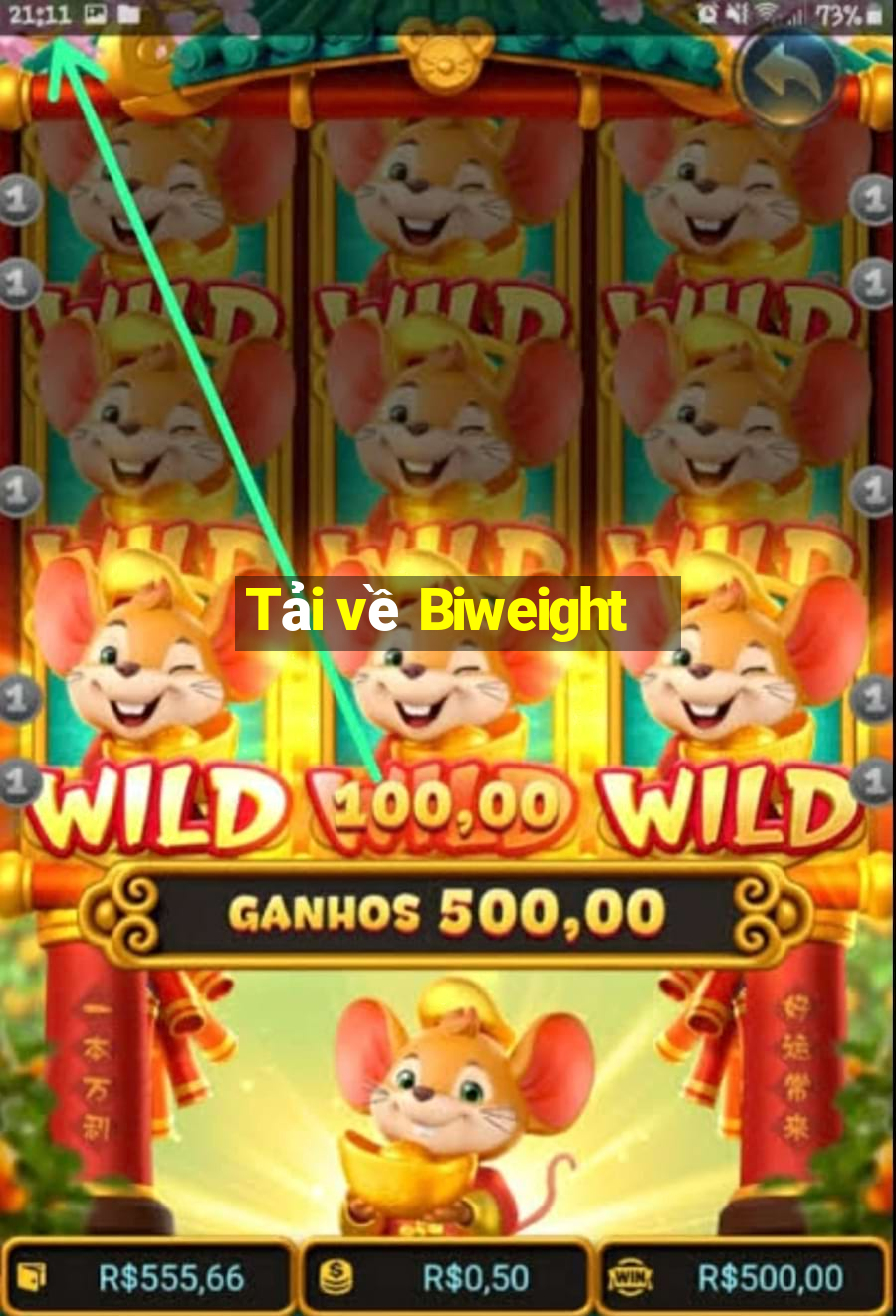 Tải về Biweight