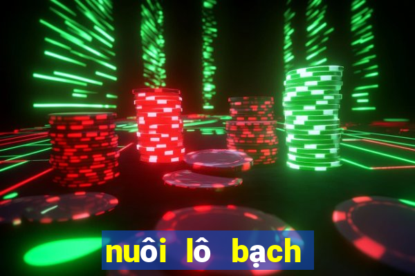 nuôi lô bạch thủ 3 ngày