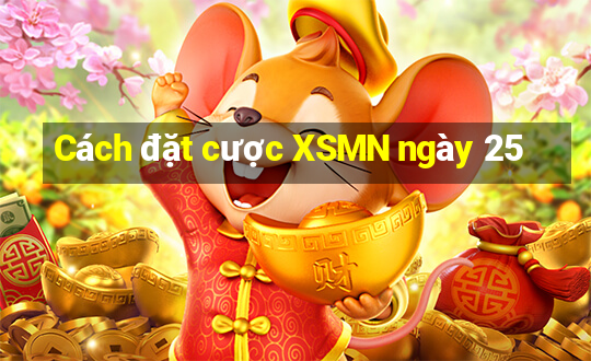 Cách đặt cược XSMN ngày 25