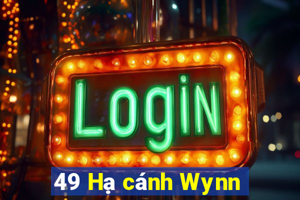 49 Hạ cánh Wynn