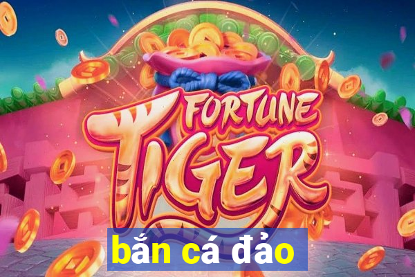 bắn cá đảo