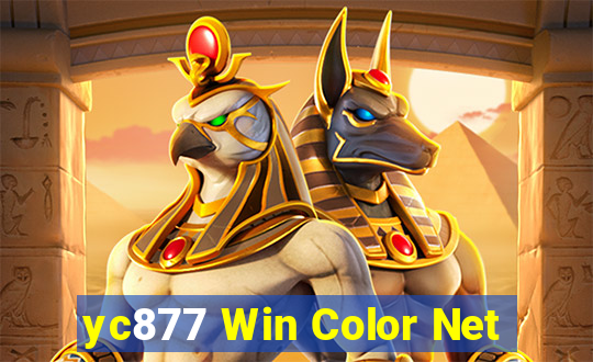 yc877 Win Color Net