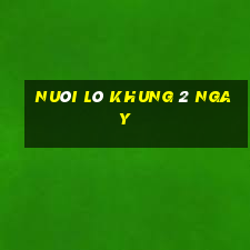 nuôi lô khung 2 ngay