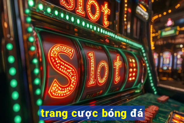 trang cược bóng đá