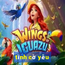 tình cờ yêu