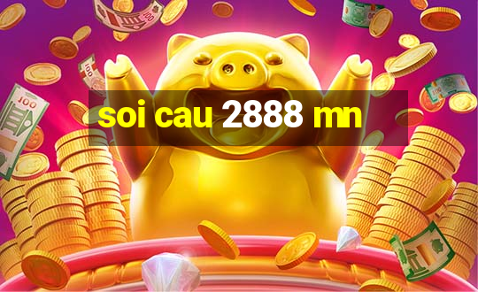 soi cau 2888 mn