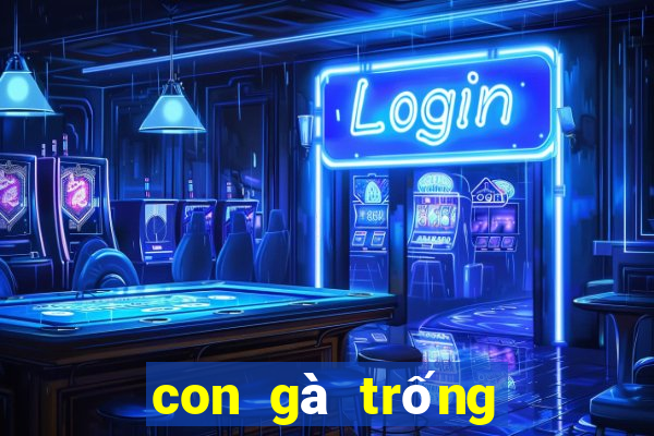 con gà trống số mấy