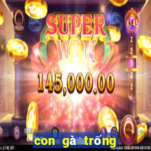 con gà trống số mấy