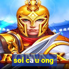 soi cầu ong