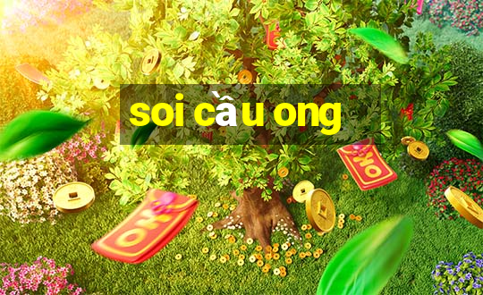 soi cầu ong