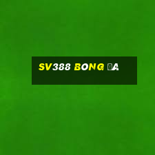 sv388 bóng đá