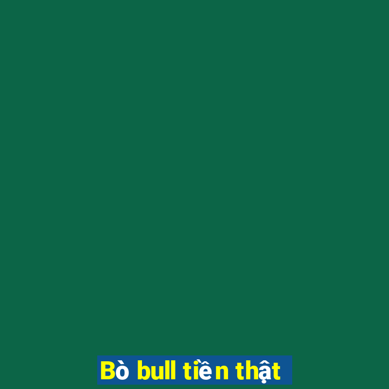 Bò bull tiền thật