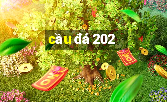 cầu đá 202