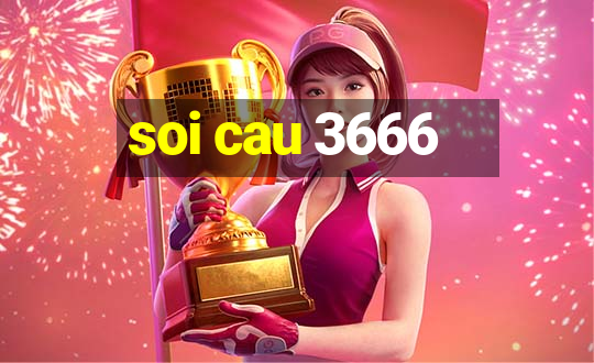 soi cau 3666