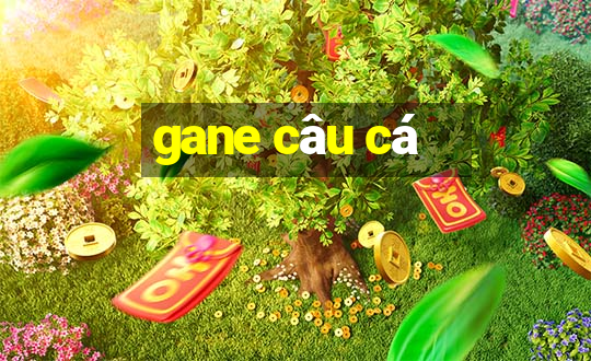 gane câu cá