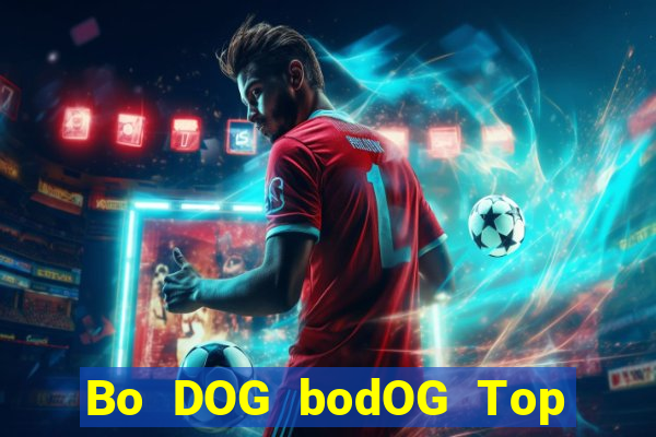 Bo DOG bodOG Top Bo Net