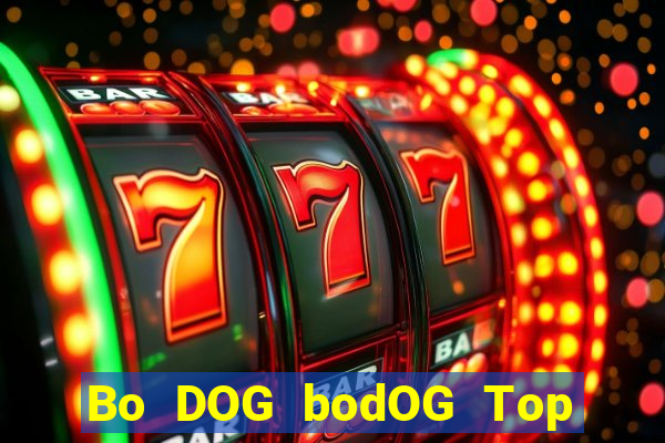 Bo DOG bodOG Top Bo Net