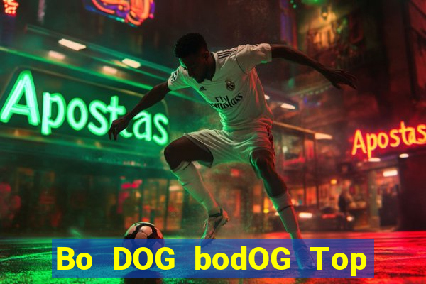 Bo DOG bodOG Top Bo Net