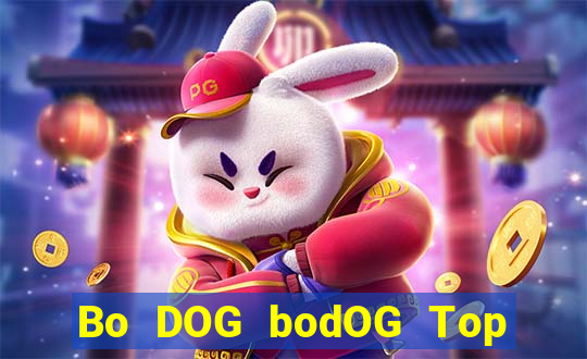 Bo DOG bodOG Top Bo Net