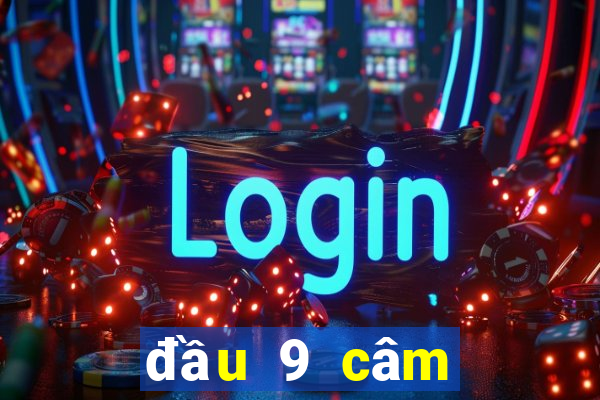 đầu 9 câm đánh lô gì