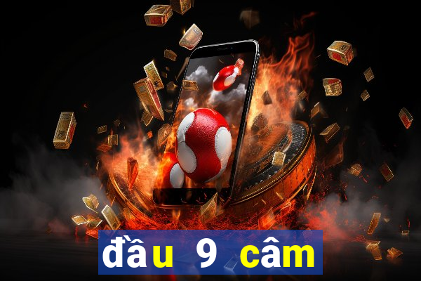 đầu 9 câm đánh lô gì