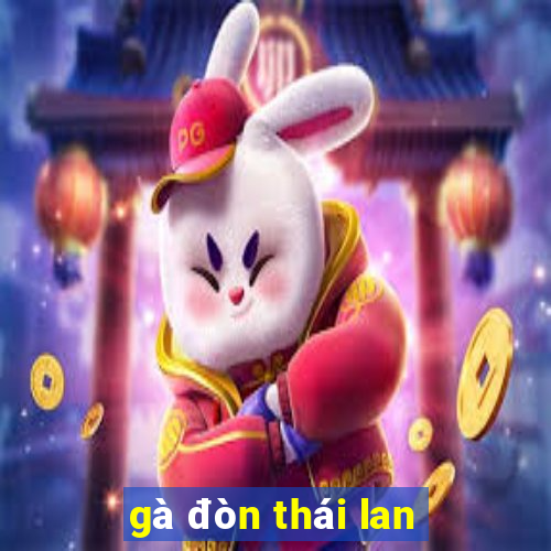 gà đòn thái lan