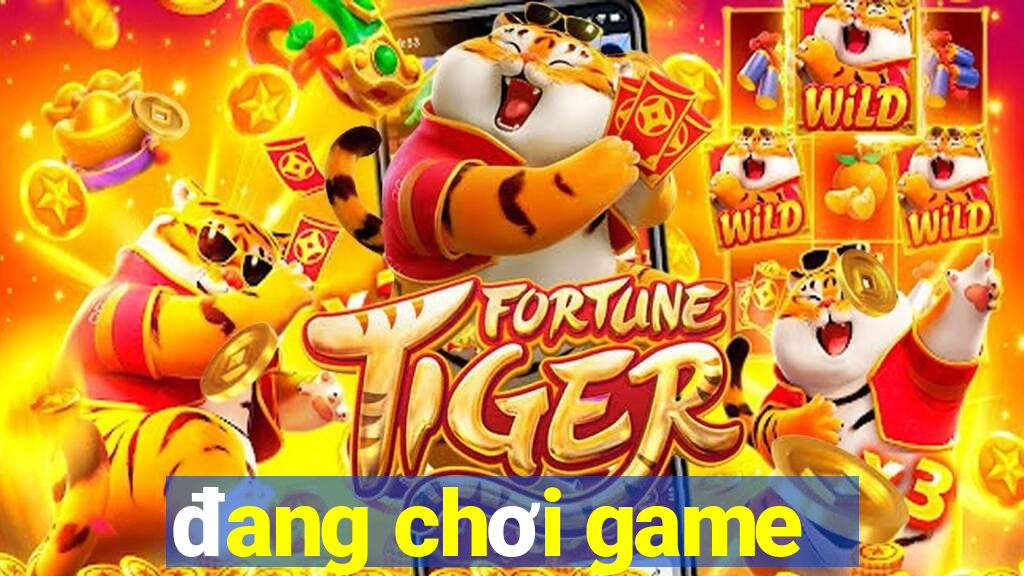 đang chơi game