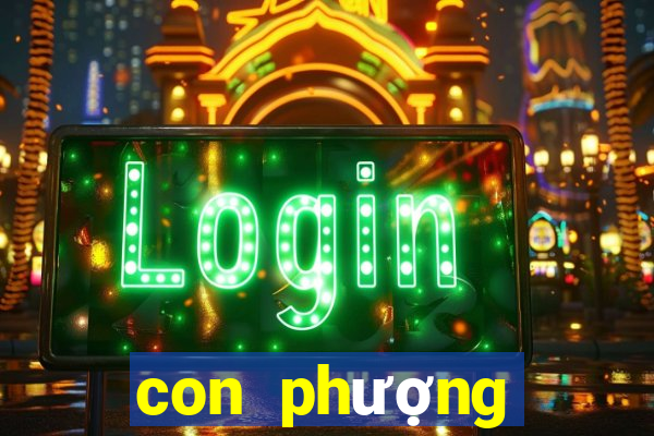 con phượng hoàng lửa