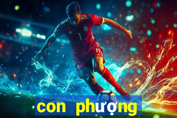 con phượng hoàng lửa